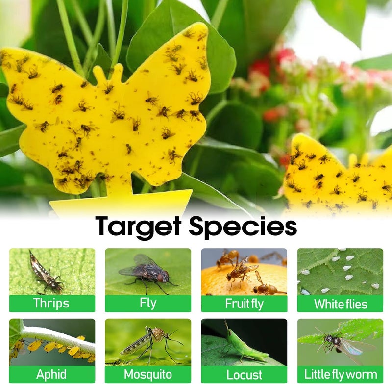 Cleanuper 58 Pcs Flying Insect Traps for Plants,Indoors, Outdoors, Kitchen, Office, Yellow Sticky Traps for Fungus Gnat, Fly and Flying Insects, Non-Toxic & Odorless, Kid & Pet Safe, Economic Pack - Image 5